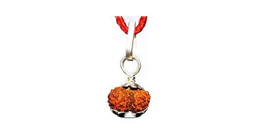 Indonesian Gauri-Shankar Rudraksha Small