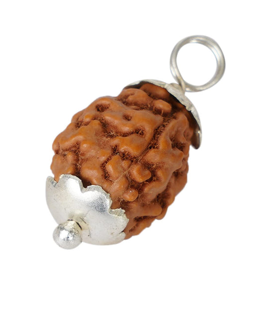 4 Mukhi Indonesian Rudraksha Small