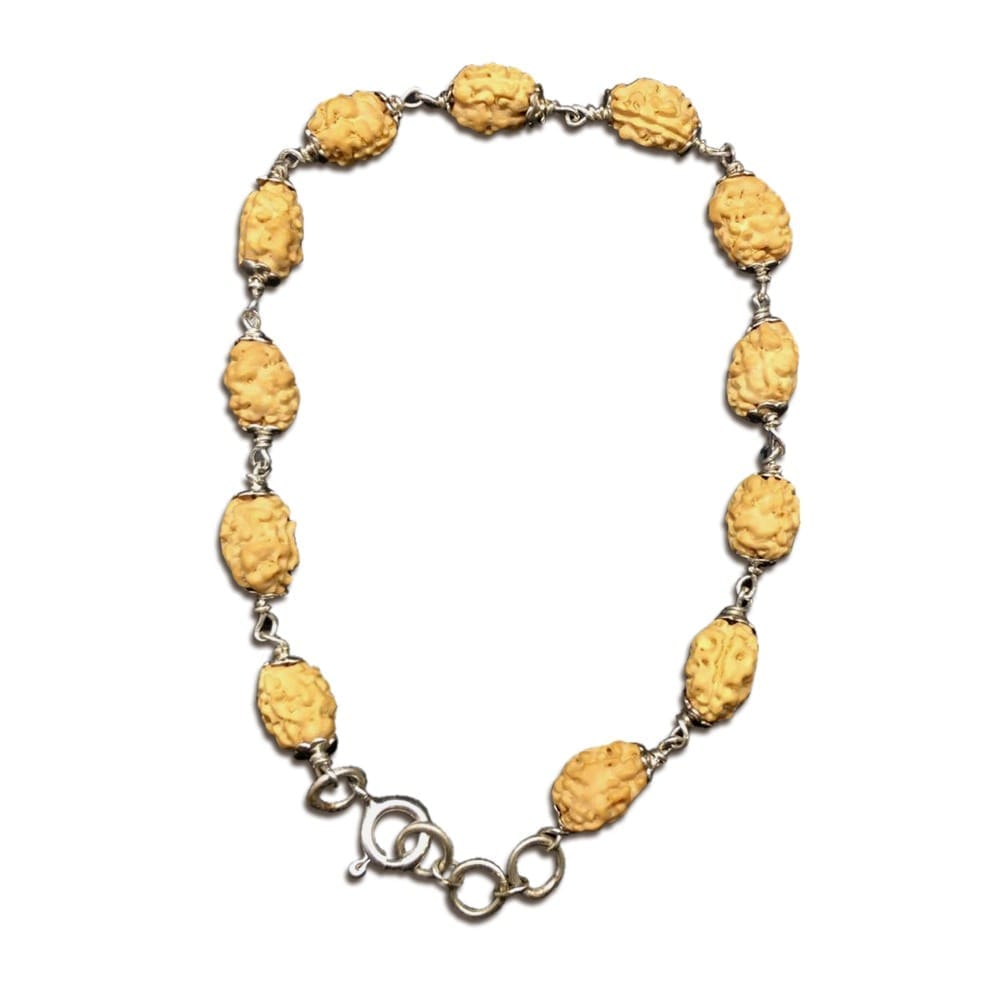 2 Mukhi Indonesian Rudraksha Bracelet In Silver