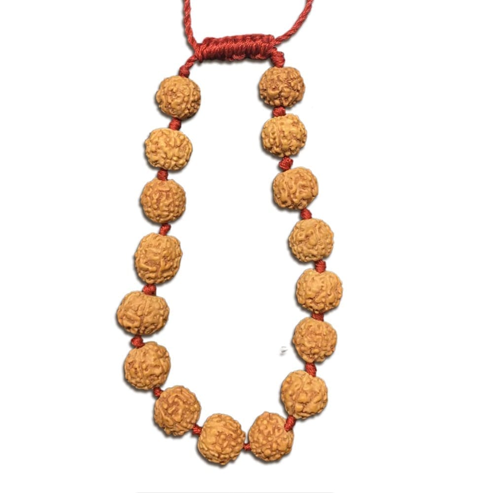 6 Mukhi Indonesian Rudraksha Bracelet In Adjustable Thread