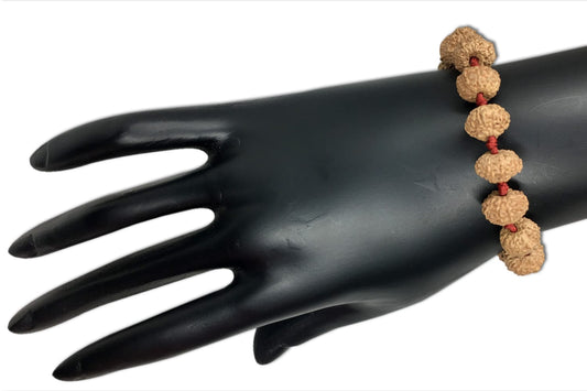 9 Mukhi Indonesian Rudraksha Bracelet In Adjustable Thread