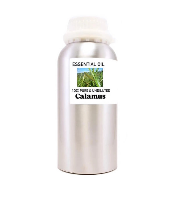 Calamus Undiluted Essential Oil