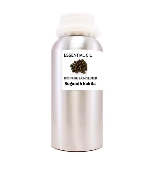Sugandh kokila Undiluted Essential Oil
