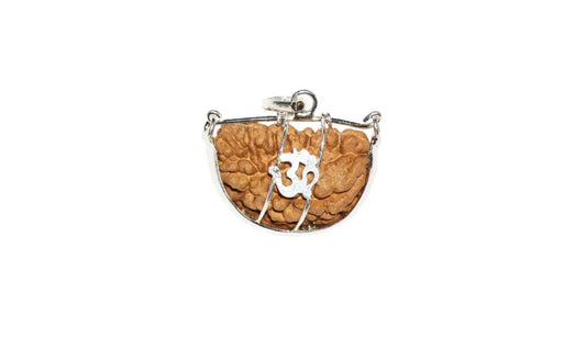 1 Mukhi Indian Rudraksha Small
