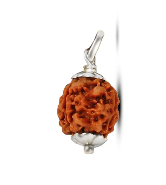 3 Mukhi Nepal Rudraksha Small