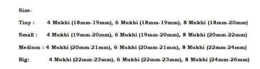 Rudraksha Combination for Creativity 4,6,8 Mukhi Nepal Silver Pendant Certified