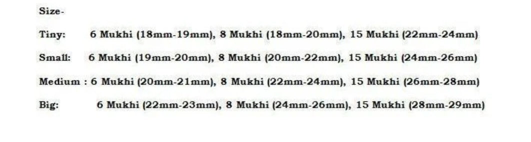 Rudraksha Combination for Business 6,8,15 Mukhi Nepal Rudraksha Mala