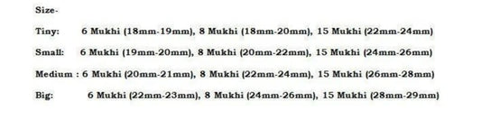 Rudraksha Combination for Business 6,8,15 Mukhi Nepal In Thread