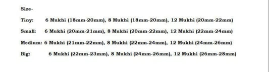 Rudraksha Combination for Business 6,8,12 Mukhi Nepal In Thread