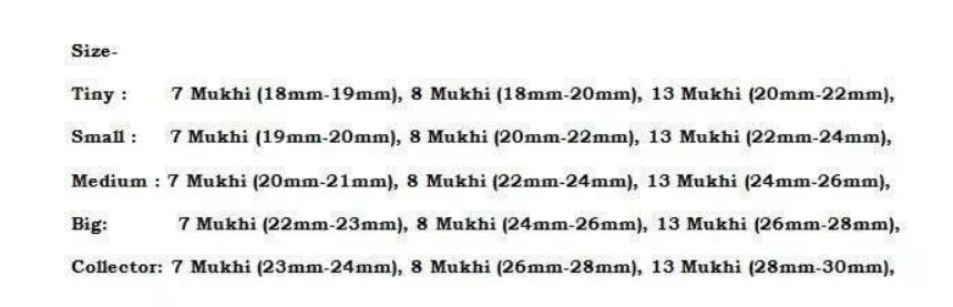 Rudraksha Combination For Business Power (Marketing & Trading) 7,7,8,13 Mukhi Nepal