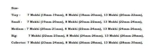 Rudraksha Combination For Business Power (Marketing & Trading) 7,7,8,13 Mukhi In Thread