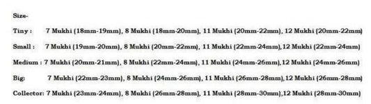 Rudraksha Combination Business Power (Executives & Businessmen) 7,7,8,11,12 Mukhi Nepal In Thread