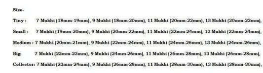 Rudraksha Combination for Wealth 7,9,11,13 Mukhi Nepal In Thread