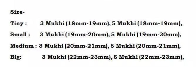 Rudraksha Combination for Health Power 3,3,5,5,5 Mukhi Nepal In Silver Chain
