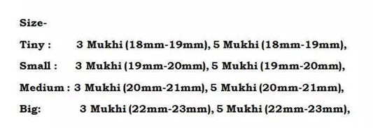 Rudraksha Combination for Health Power 3,3,5,5,5 Mukhi Nepal In Thread