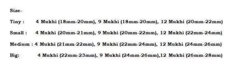Rudraksha Combination for Doctors 4,9,12 Mukhi Nepal In Silver Chain