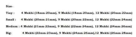 Rudraksha Combination for Doctors 4,9,12 Mukhi Nepal In Thread