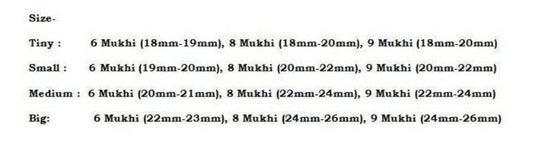 Rudraksha Combination For Females In Business 6,8,9 Mukhi Nepal In Rudraksha Mala