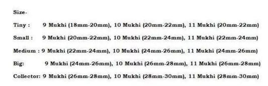 Rudraksha Combination for Total Protection 9,10,11 Mukhi Nepal In Thread