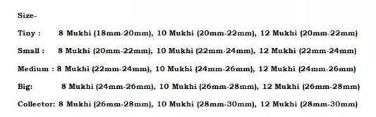 Rudraksha Combination for Protection 8,10,12 Mukhi Nepal In Thread