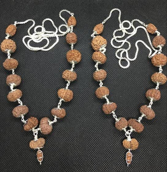 Indonesian Siddha Mala (1-14 Mukhi,Ganesh,Gaurishankar) Medium Size