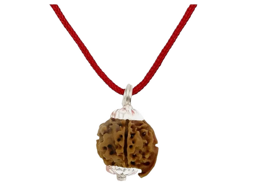 Ganesh Rudraksha Nepal Small