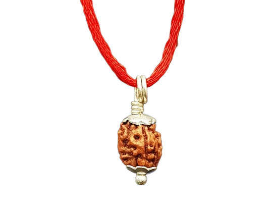 3 Mukhi Indonesian Rudraksha Small