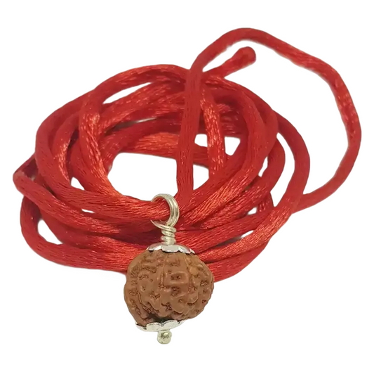 Ganesh Rudraksha Indonesian Small