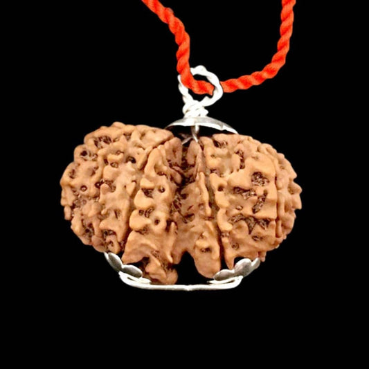 Nepal Gauri-Shankar Rudraksha Small