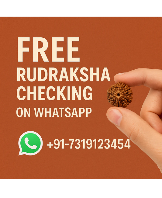 Get Your Rudraksha Checked With Us For Free