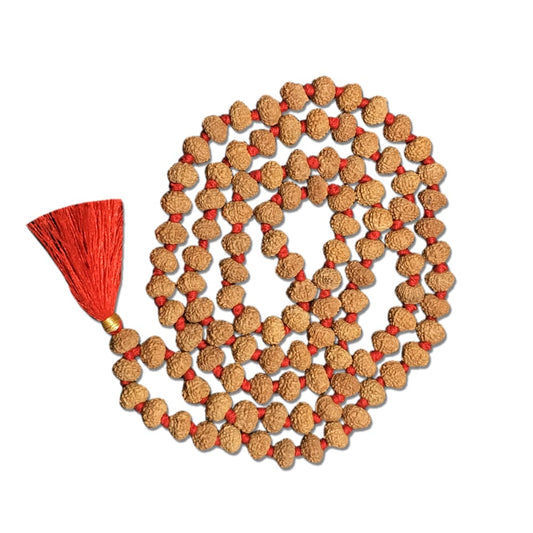 10 Mukhi Indonesian Rudraksha Mala 108 Beads (8mm-10mm)