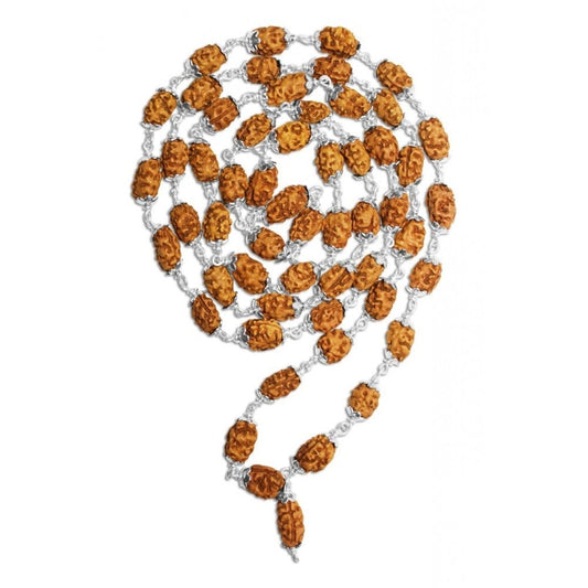 2 Mukhi Indonesian Rudraksha Mala 54 Beads In Silver