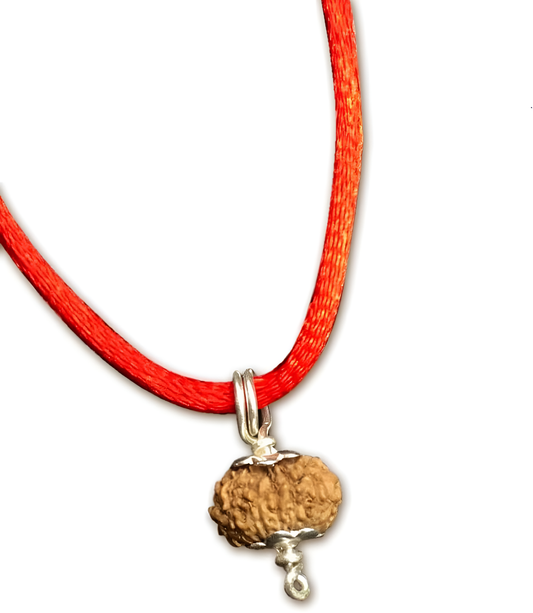 18 Mukhi Indonesian Rudraksha Small