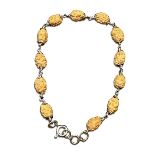2 Mukhi Indonesian Rudraksha Bracelet In Silver
