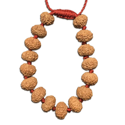 7 Mukhi Indonesian Rudraksha Bracelet In Adjustable Thread