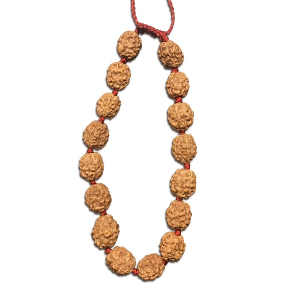 4 Mukhi Indonesian Rudraksha Bracelet In Adjustable Thread