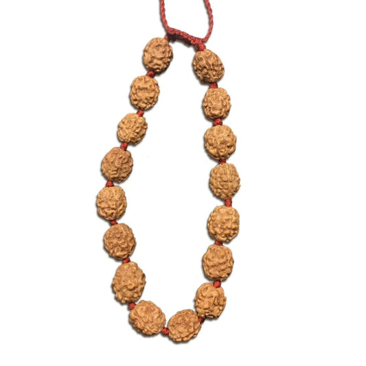 4 Mukhi Indonesian Rudraksha Bracelet In Adjustable Thread