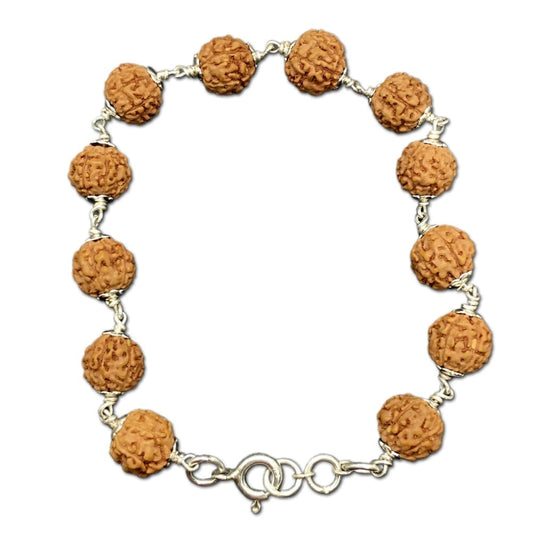 6 Mukhi Indonesian Rudraksha Bracelet In Silver