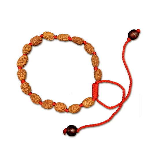 2 Mukhi Indonesian Rudraksha Bracelet In Adjustable Thread