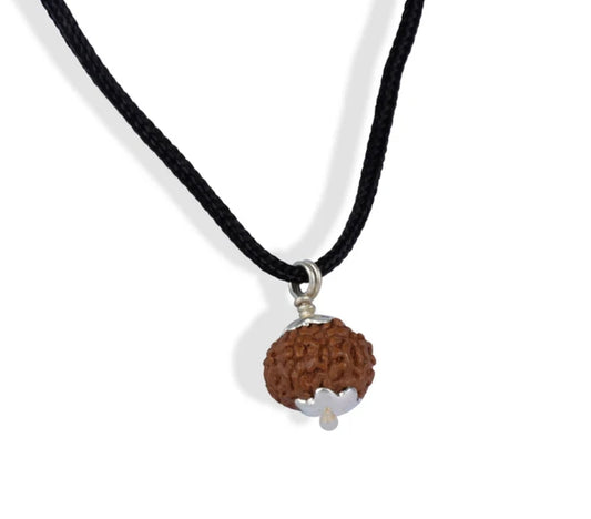 6 Mukhi Indonesian Rudraksha Small