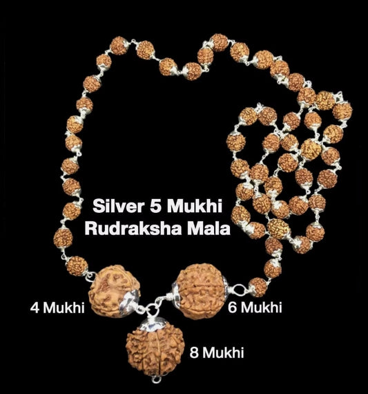 Rudraksha Combination for Advocates 4,6,8 Mukhi Nepal In Silver Mala