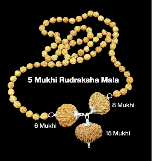 Rudraksha Combination for Business 6,8,15 Mukhi Nepal Rudraksha Mala