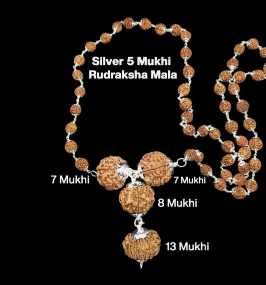Rudraksha Combination For Business Power Marketing & Trading 7,7,8,13 Mukhi