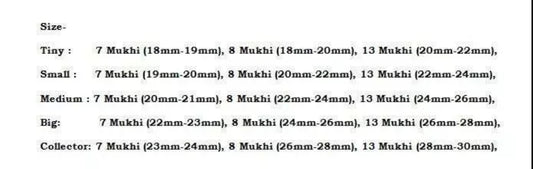Rudraksha Combination For Business Power Marketing & Trading 7,7,8,13 Mukhi