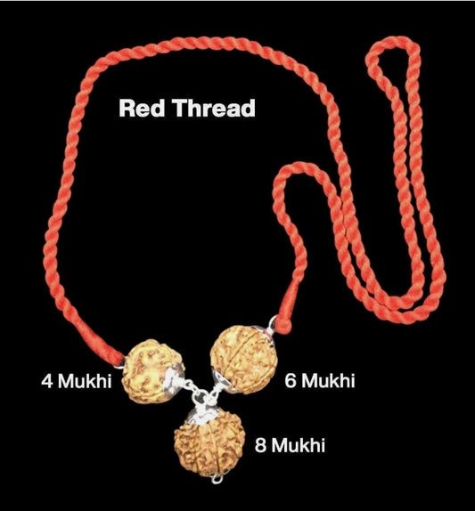 Rudraksha Combination for Creativity 4,6,8 Mukhi Nepal Silver Pendant Certified