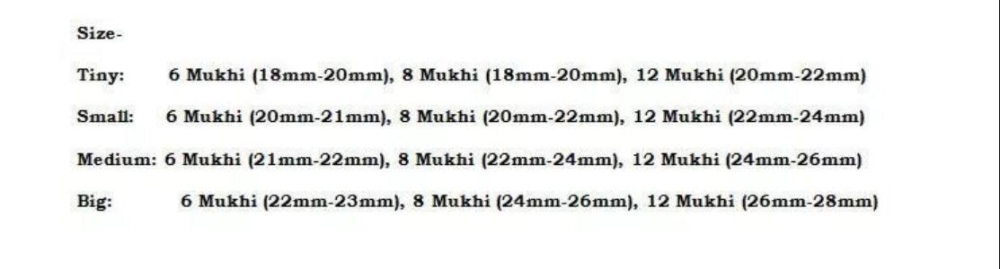 Rudraksha Combination for Business 6,8,12 Mukhi Nepal In Thread