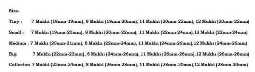 Rudraksha Combination Business Power (Executives & Businessmen) 7,7,8,11,12 Mukhi Nepal In Silver Mala