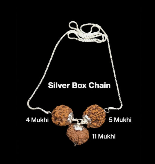 Rudraksha Combination for Hanuman Power 4,5,11 Mukhi Nepal In Silver Chain