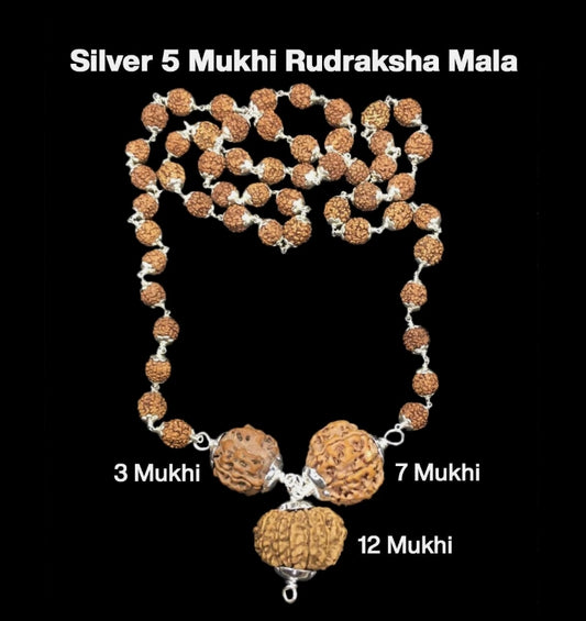 Rudraksha Combination for Career 3,7,12 Mukhi Nepal In Silver Mala