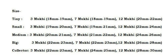 Rudraksha Combination For Career 3,7,12 Mukhi Nepal In Thread